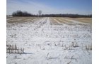 Property photo 23 - 76 Acres Offered in 4 Tracts